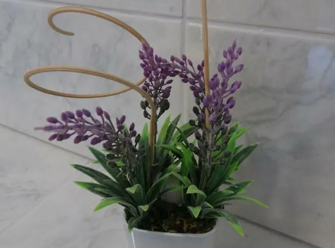 Panorama Seget * Трогир