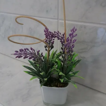 Panorama Seget * טרוגיר